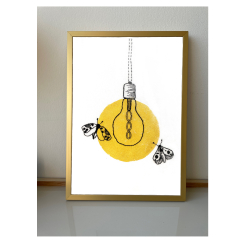 Natsv�rmere p� hvid baggrund