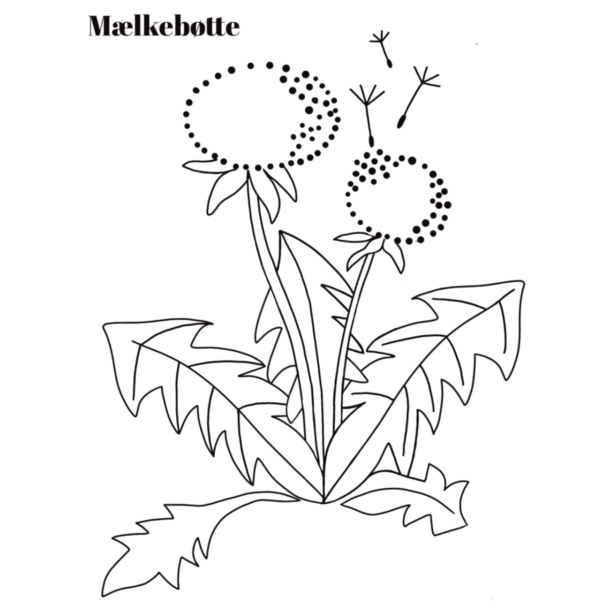 Mlkebtte