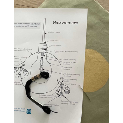 Natsv�rmere p� lysegr�n baggrund